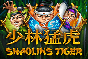 Shaolin Tiger
